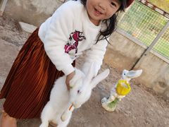 -前小桔亲子创意农场·草莓采摘·露营烧烤