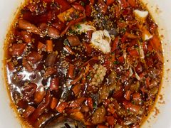 -首秀·四川料理(星耀101店)