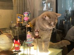 -MIMO CAFE(沙头角店)