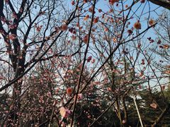 -白塘生态植物园