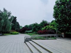 -望湖公园