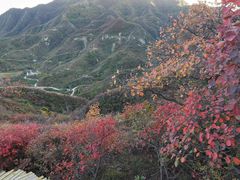 -水峪民俗村