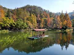 -桂林古东瀑布景区