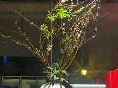 -花锦堂·隐庐