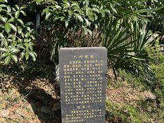 -老山国家森林公园