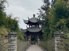 -铁山坪森林公园