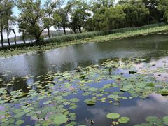 -颐和园