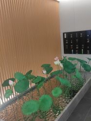 点击看大图 -圣梦亲体美肤生活馆