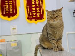 -纳吉亚猫专科动物医院博雅分院
