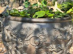 -北京凤凰岭