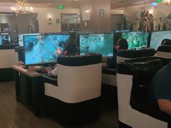 -网鱼电竞(杨浦中原店)
