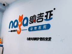 -纳吉亚猫专科动物诊疗中心(蒋宅口分院)