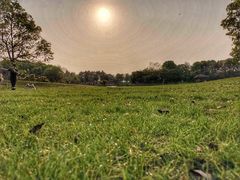 -艾溪湖湿地公园