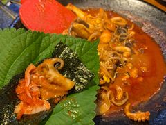 -红辣椒八爪鱼特色韩国料理