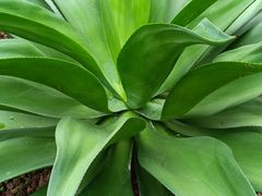 -必胜客(WOW中心城店)