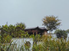 -观唐（国际）度假村温泉
