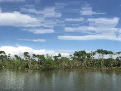 -东寨港红树林旅游区