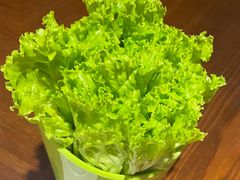生菜-东海怡品海鲜豆捞(星街坊店)