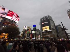 -涩谷区