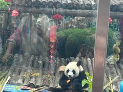 -大连森林动物园