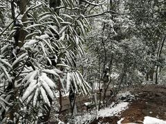 -西湖风景区十里琅珰-五云山