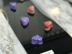 -美斯烘焙培训学院•蛋糕•面包•咖啡(宝安校区)
