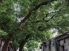 -多味居(剪子巷店)