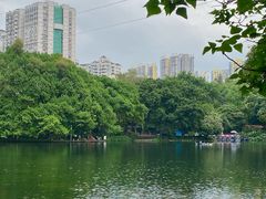 -晓港公园