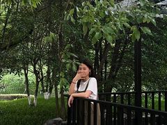 -日出青木·杭帮菜名店