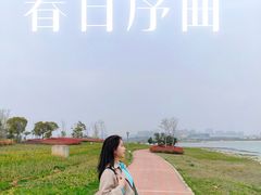 -九龙湖公园
