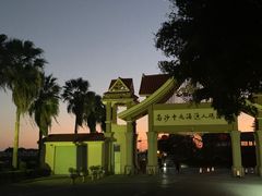 -大湾区中央湿地公园-十九涌