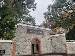-八大山人梅湖景区