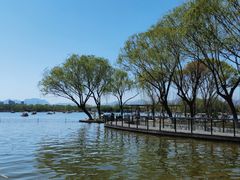 -石家庄市植物园