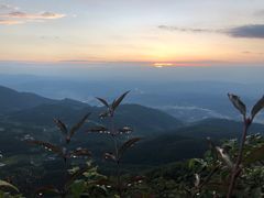 -武陵山森林公园