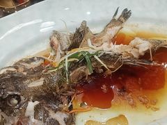 -北塘海鲜·天津菜·鲅鱼水饺是一绝(大光明桥旗舰店)