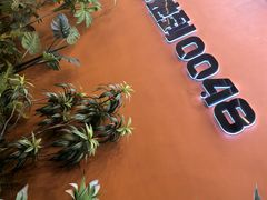 -0048鲜活香辣虾·火锅(铜陵路店)