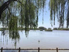 -白洋淀景区