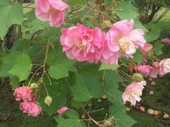 -杭州城北体育公园