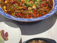 -新概念来凤鱼(璧山店)
