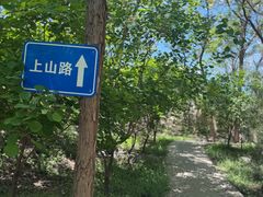 -阳台山自然风景区