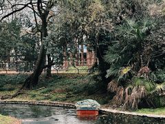 -上海共青森林公园