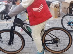 -道路口单车爱瓦士dahon大行