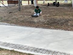 -长白岛森林公园