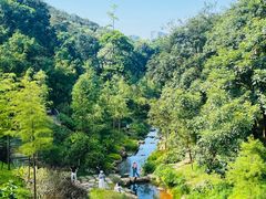 -云溪植物园