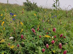 -白草畔自然风景区