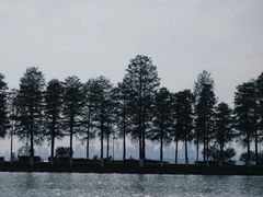 -东湖落雁景区