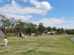 -春花秋色城市公园