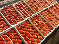 -三亚新鸿港水果一级批发市场