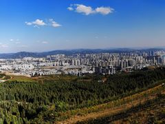 -长虫山生态公园风景林