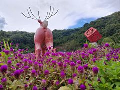 -东莞观音山旅游风景区